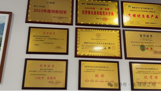 福鼎信达生态农业入驻派空间