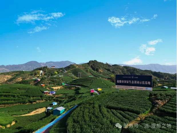 福鼎信达生态农业入驻派空间